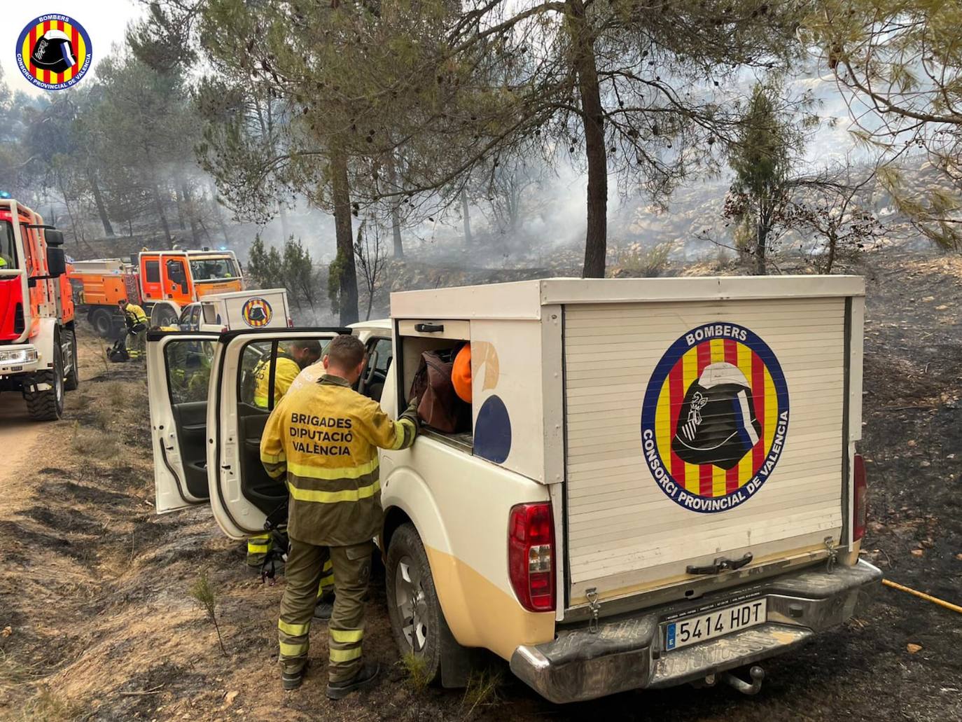 Incendio forestal en Villanueva de Viver