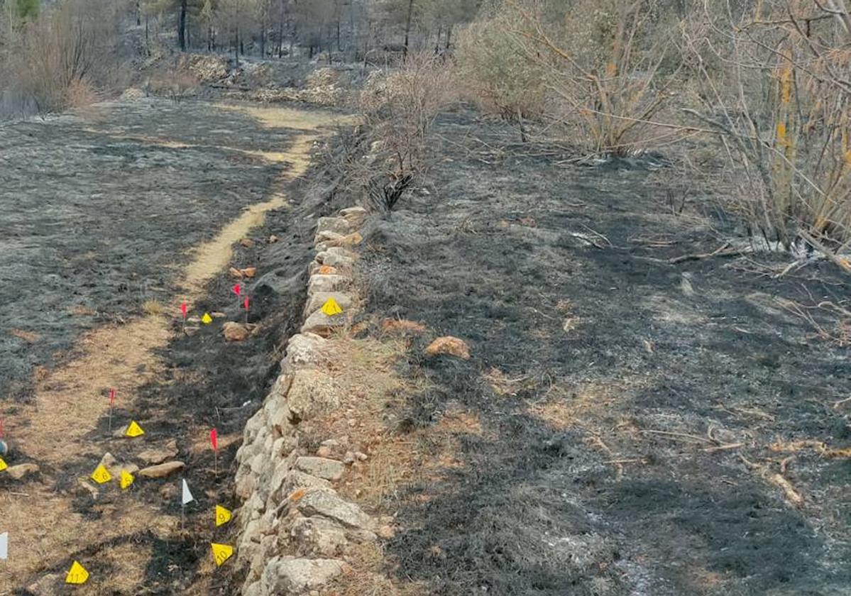 El foco del incendio con las señales que colocaron los investigadores del Seprona.