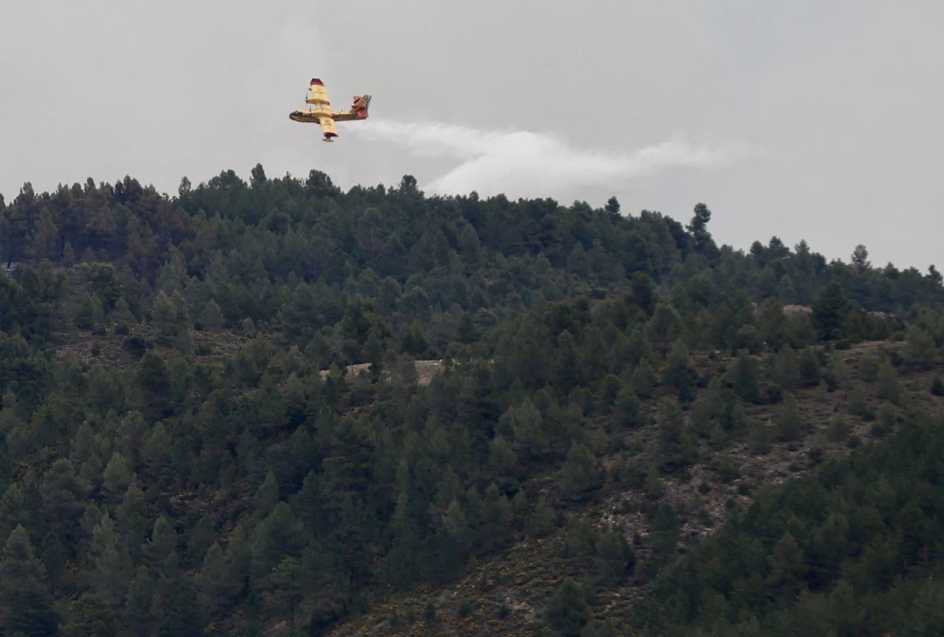 Incendio forestal en Villanueva de Viver