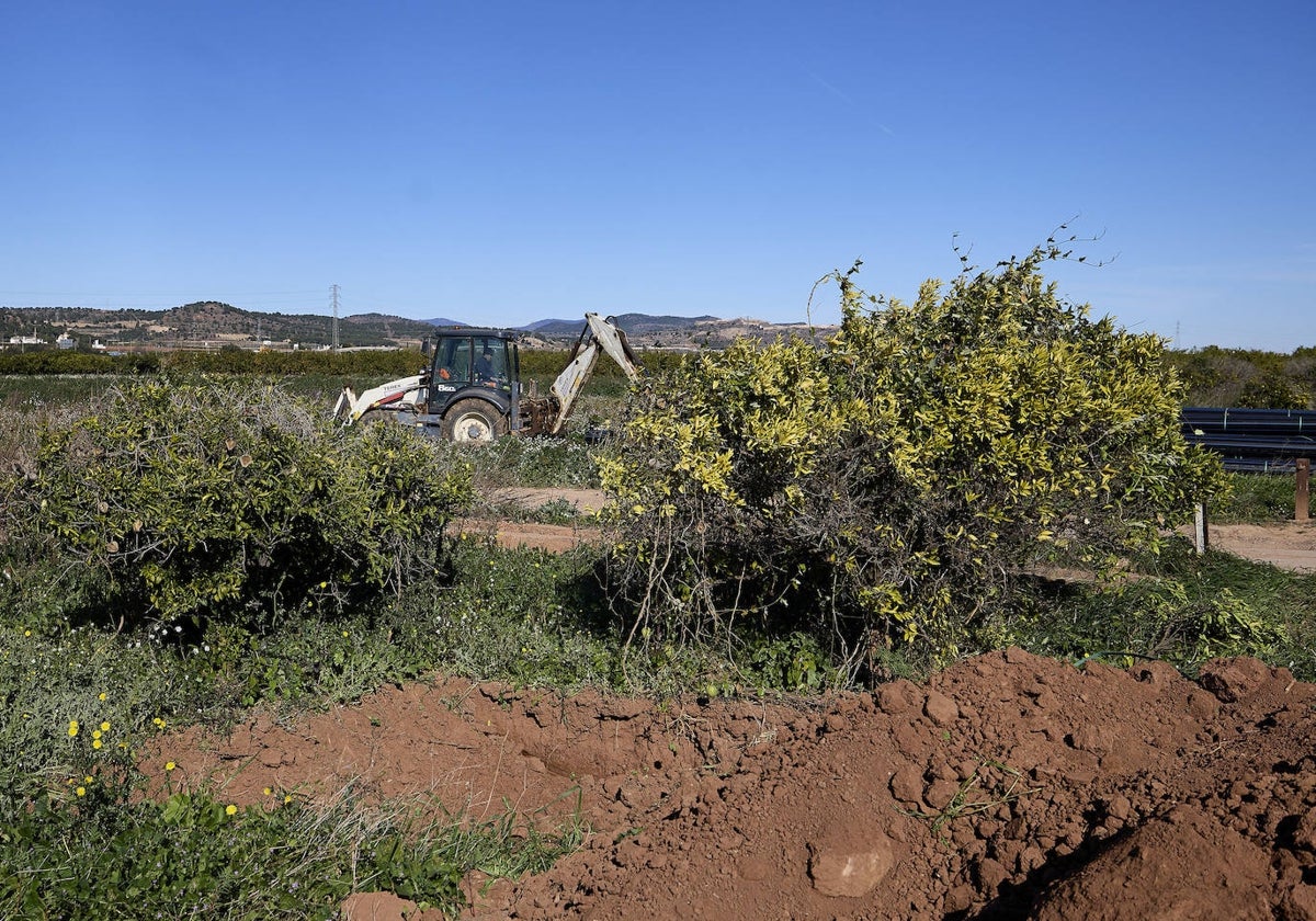 Terrenos junto a la gigafactoría de Volkswagen en Sagunto.