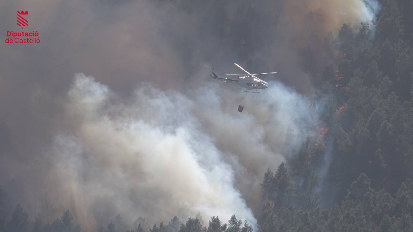 Incendio forestal en Villanueva de Viver