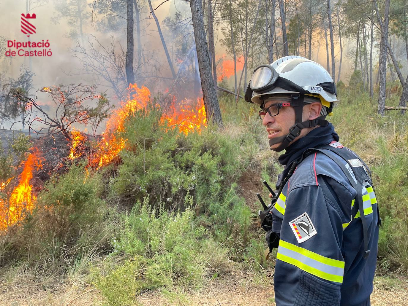 Incendio forestal en Villanueva de Viver