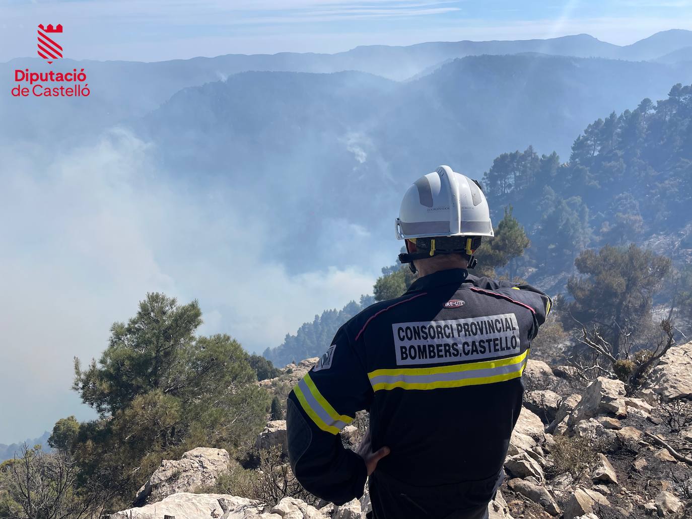 Incendio forestal en Villanueva de Viver