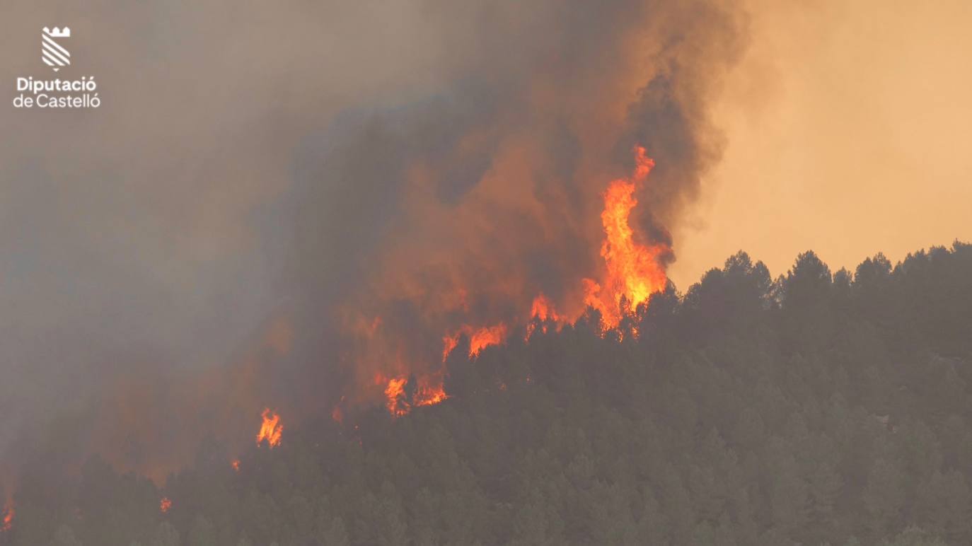 Incendio forestal en Villanueva de Viver