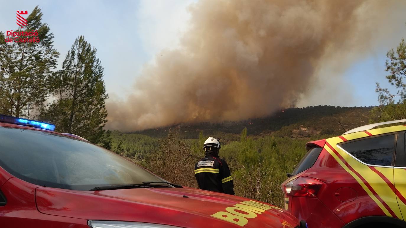 Incendio forestal en Villanueva de Viver