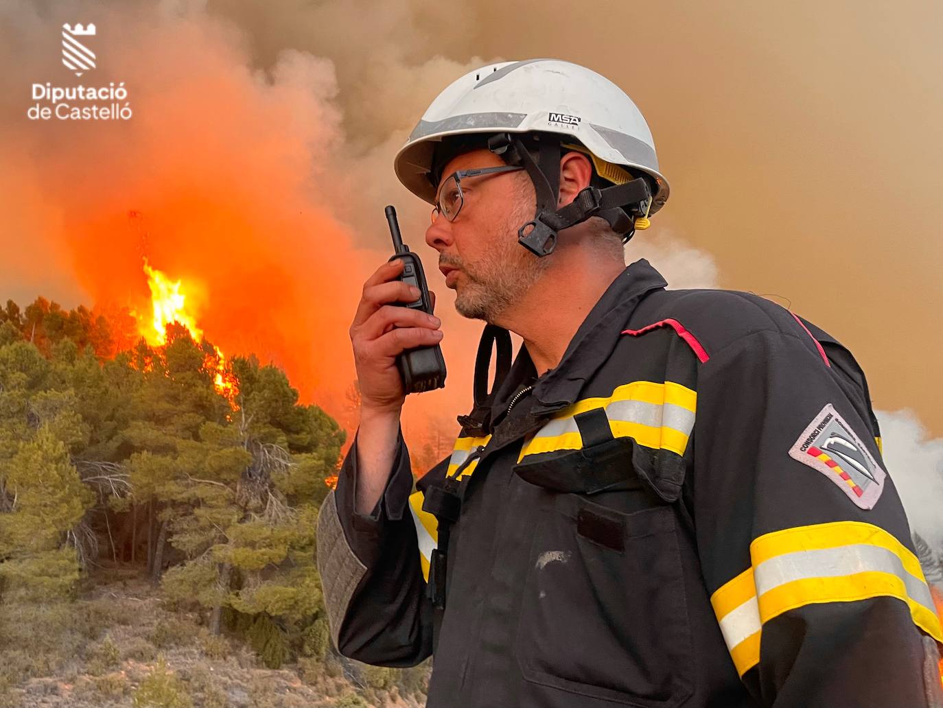 Incendio forestal en Villanueva de Viver