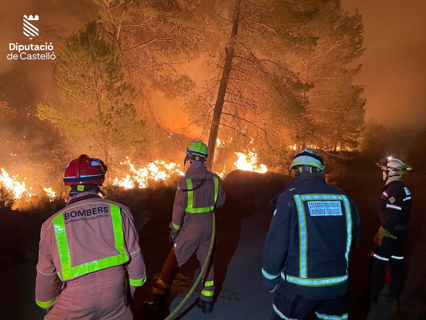 Incendio forestal en Villanueva de Viver