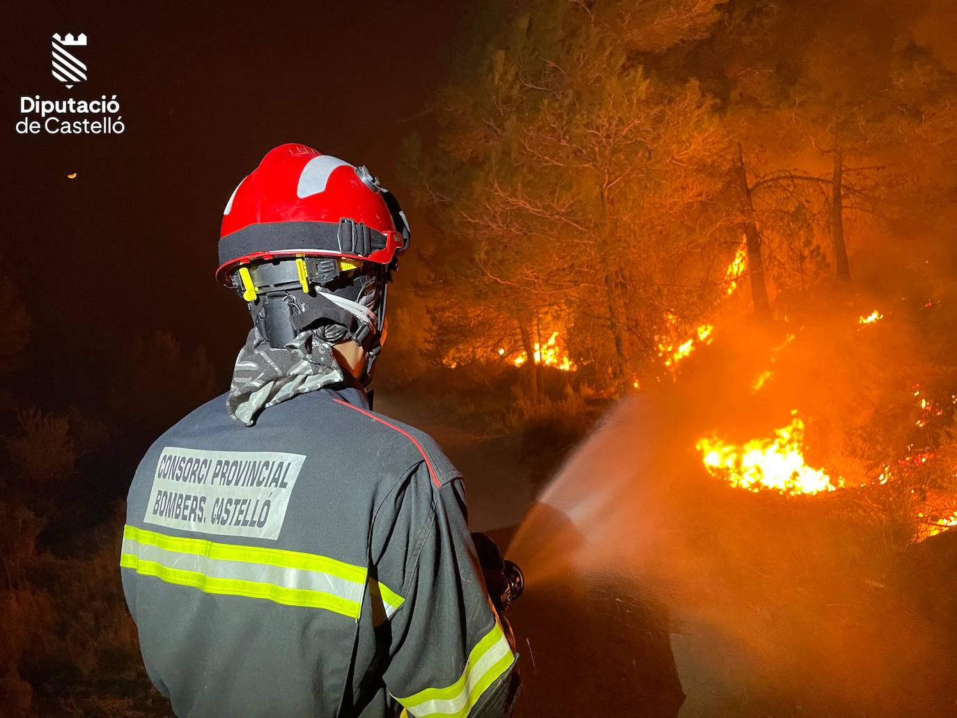 Incendio forestal en Villanueva de Viver