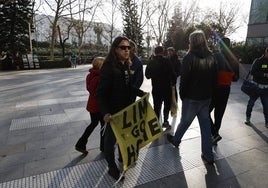 Algunos aficionados han acudido a la Ciudad de la Justicia con carteles de 'Lim go home' e increparon a Aurelio Martínez y a Salvo cuando estos entraron.