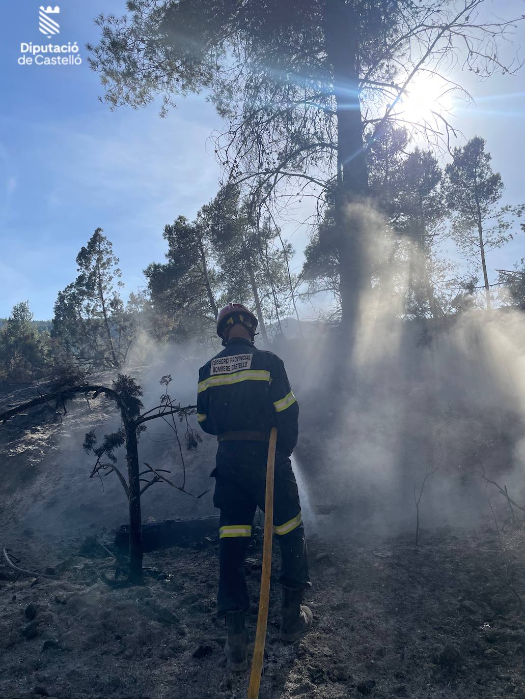 Incendio forestal en Villanueva de Viver