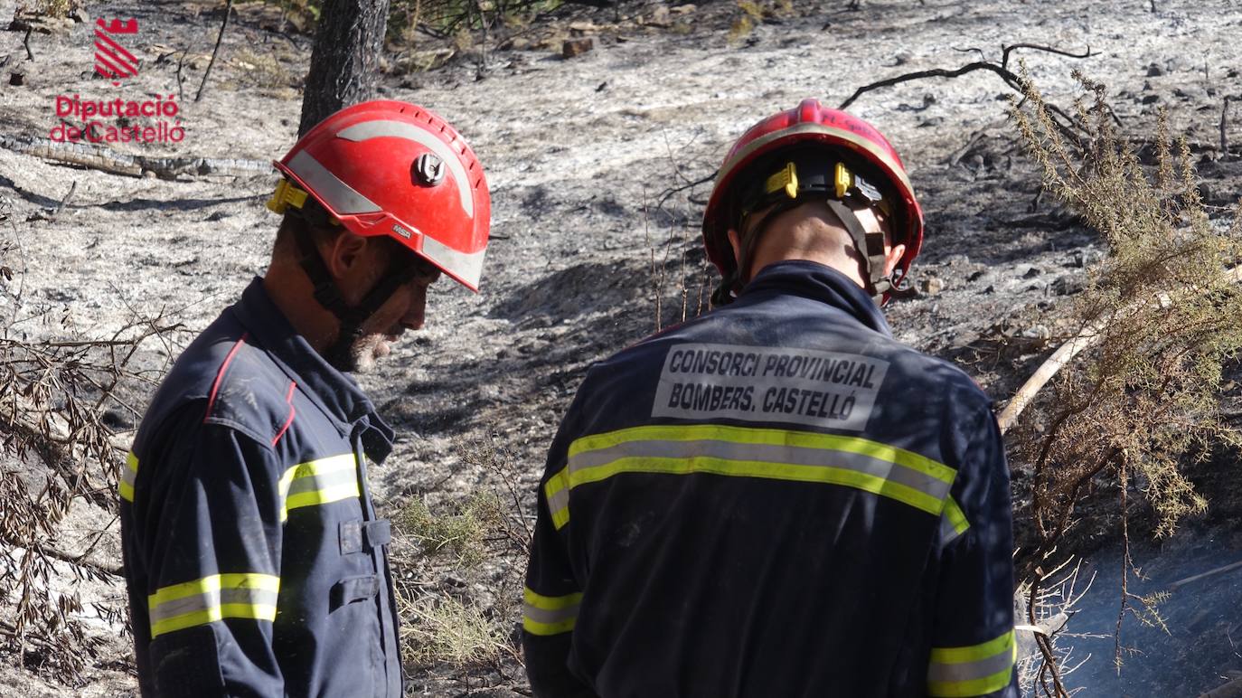 Incendio forestal en Villanueva de Viver