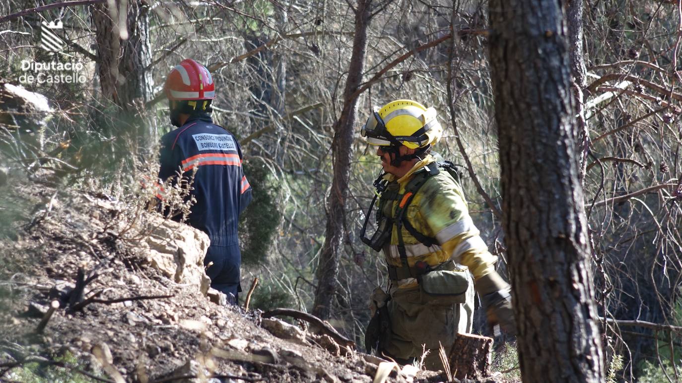 Incendio forestal en Villanueva de Viver