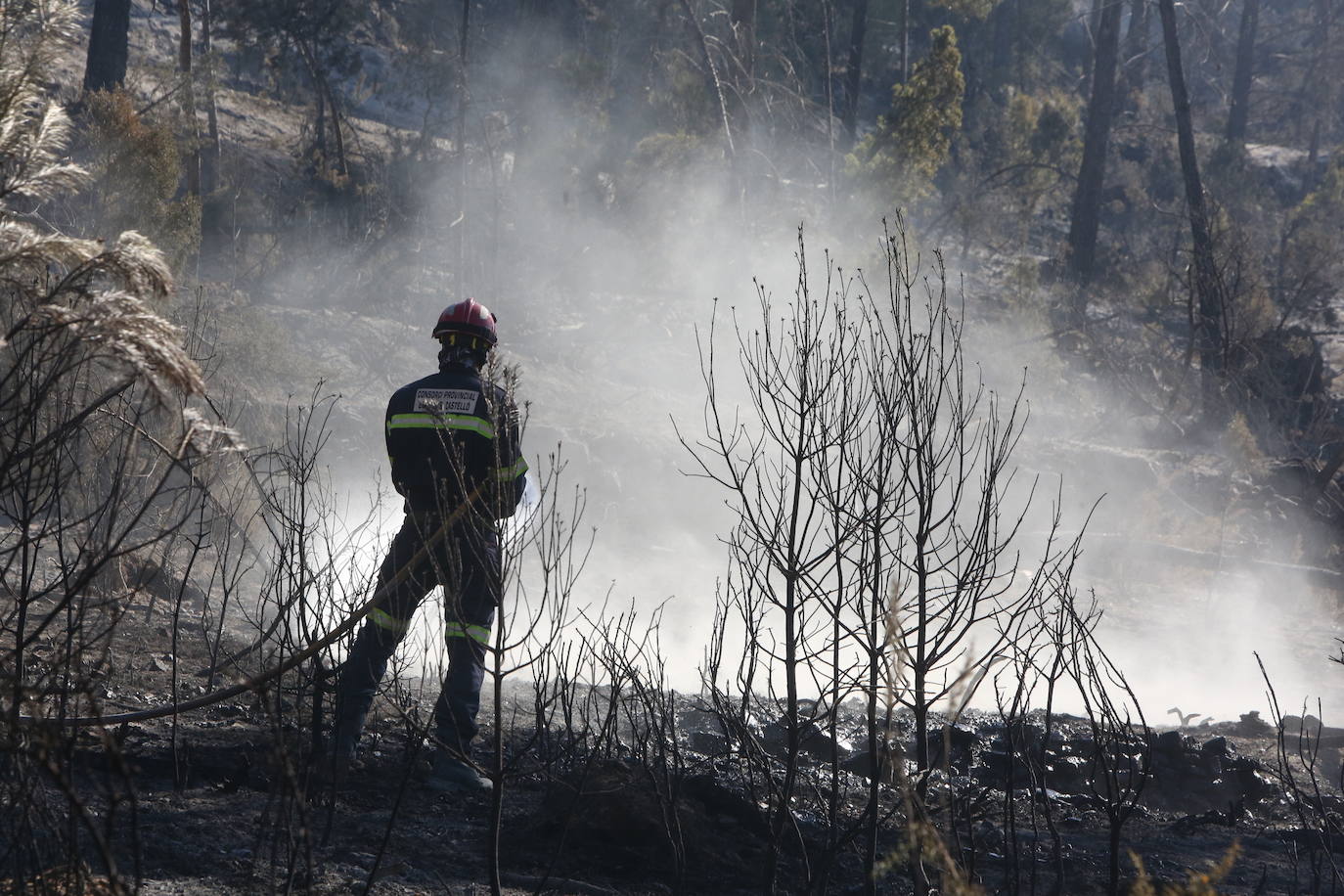 Incendio forestal en Villanueva de Viver