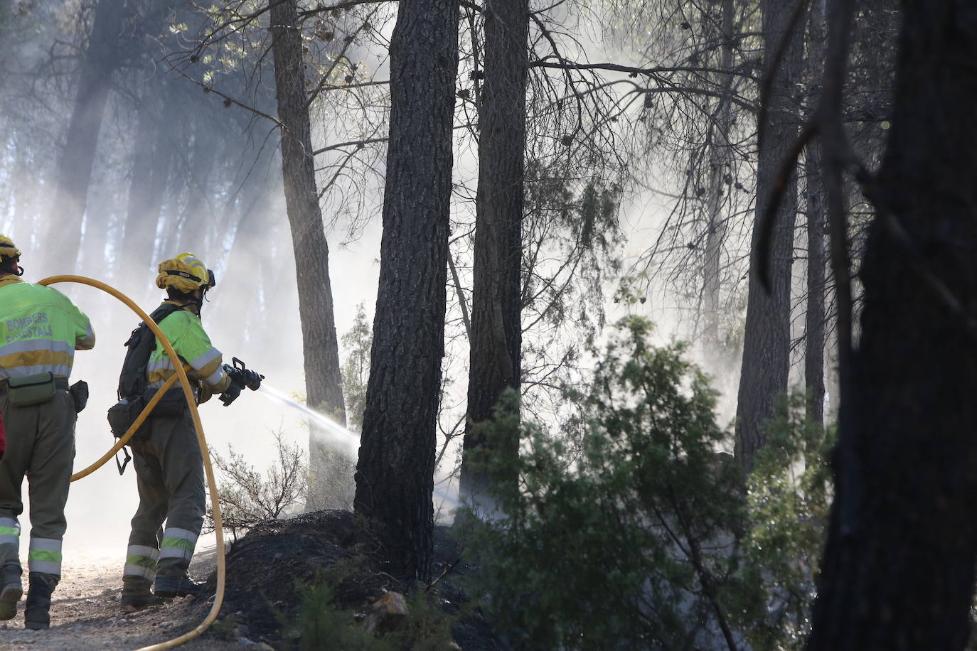 Incendio forestal en Villanueva de Viver