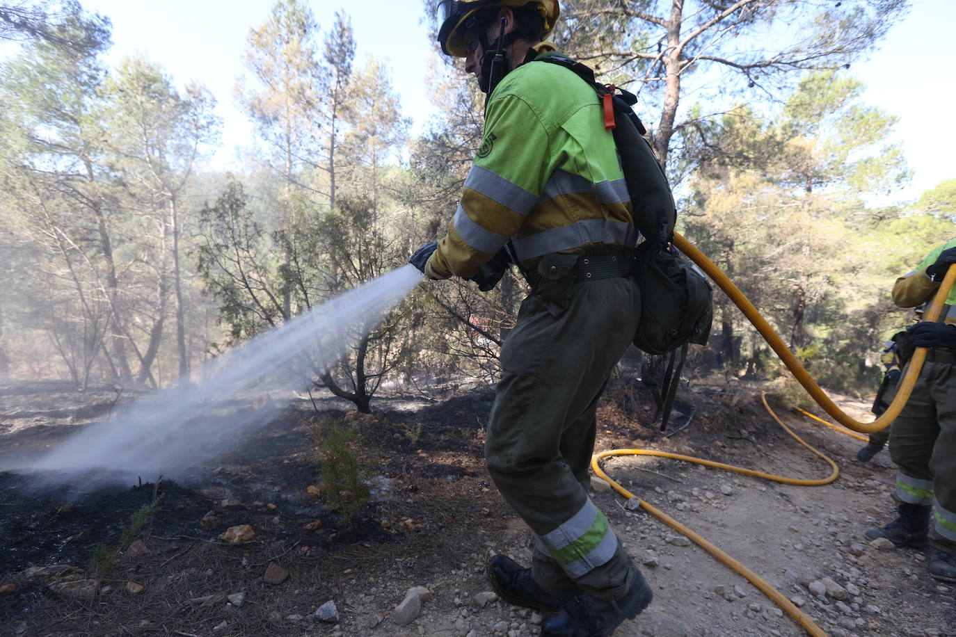 Incendio forestal en Villanueva de Viver