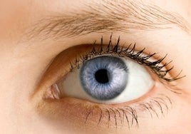 El síndrome de los ojos secos: qué es y cómo puede tratarse