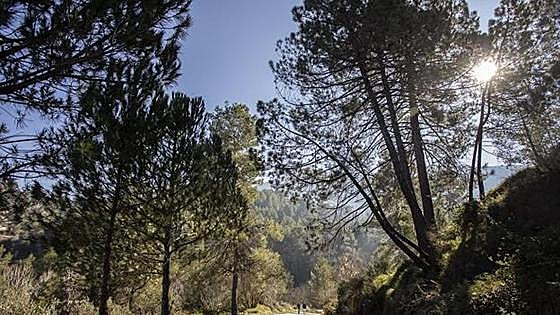 Ruta 99: descubre la iniciativa que te propone AVANT