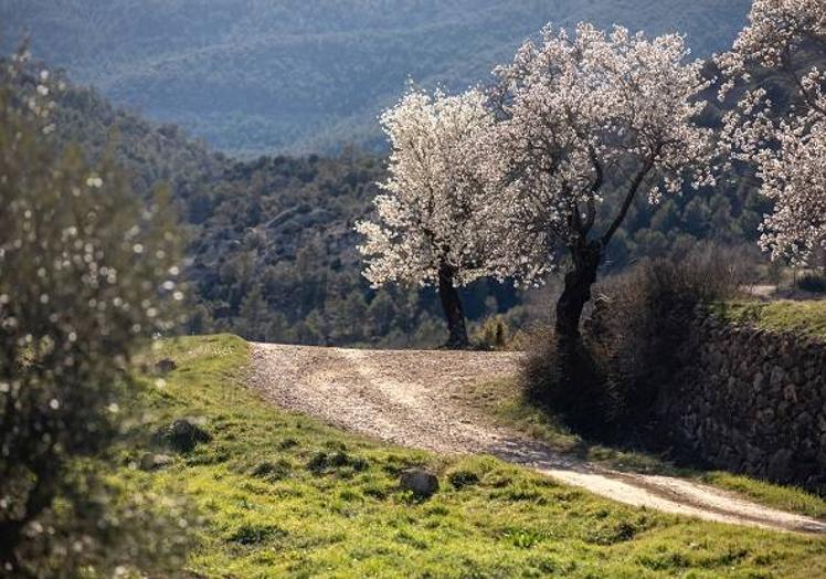 Imagen principal - Ruta 99: descubre la iniciativa que te propone AVANT