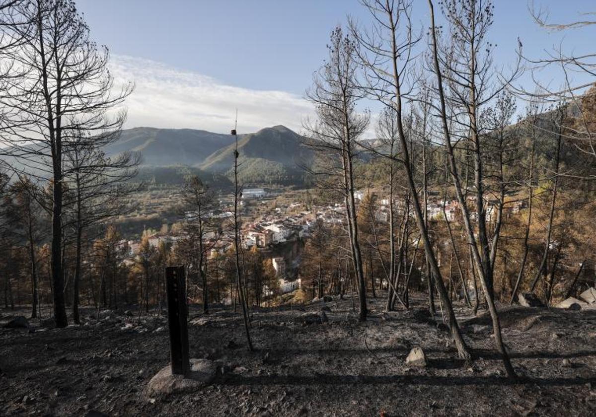 El incendio iniciado en Villanueva de Viver obligó a desalojar varias poblaciones.