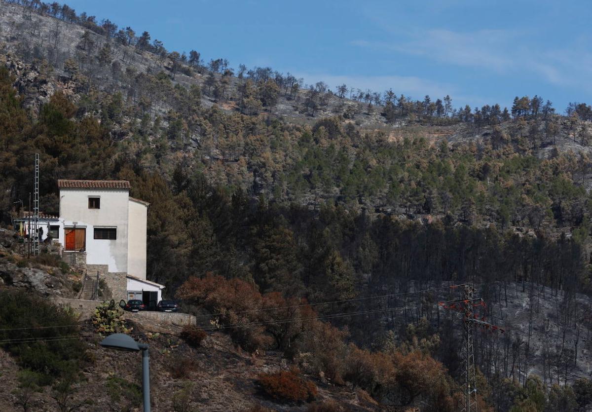 Montán, arrasado por las llamas del incendio forestal declarado en Castellón.