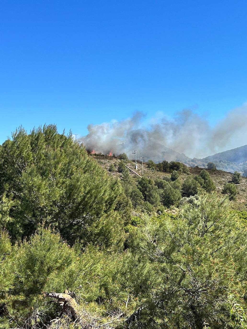 Declarado en la Sierra Calderona un nuevo incendio forestal