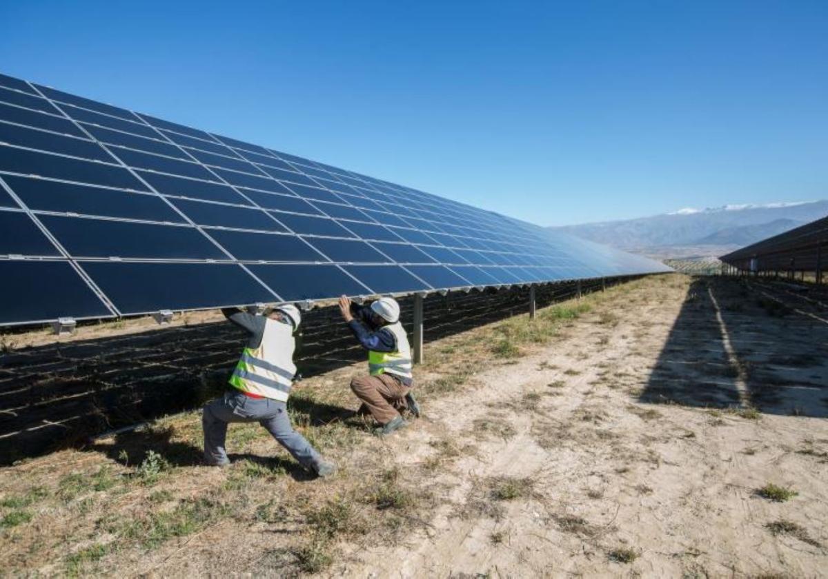 Dos operarios trabajan en el montaje de un gran parque fotovoltaico.