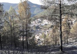 Paraje en Montán afectado por el fuego.