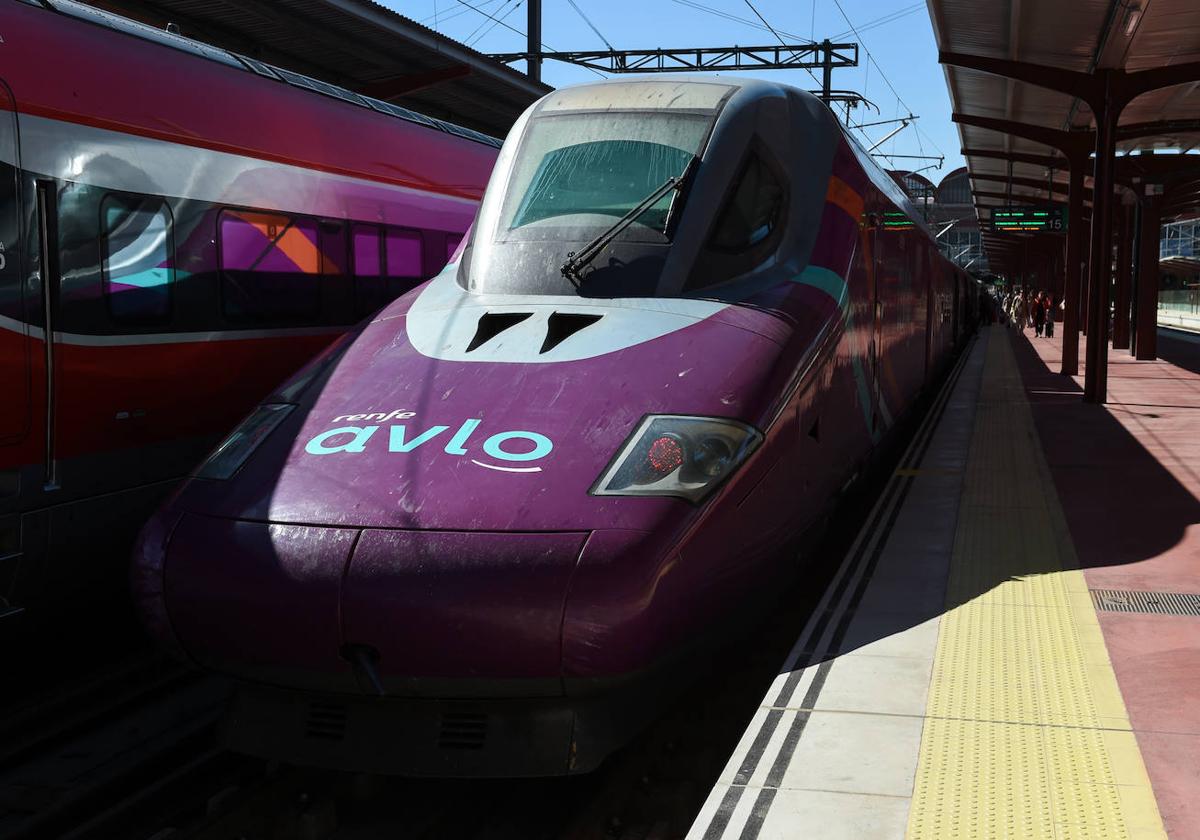 Cómo obtener el nuevo abono gratuito de Renfe: estos son los pasos a seguir