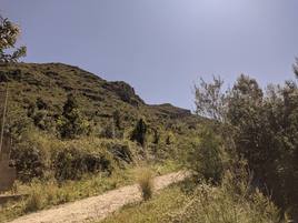 Zona de la Barraca que fue pasto de las llamas.