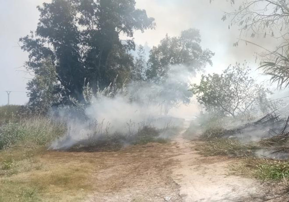 Incendio en el entorno del río Magro, en l'Alcúdia.