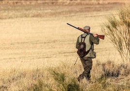 Un cazador camina por el monte.