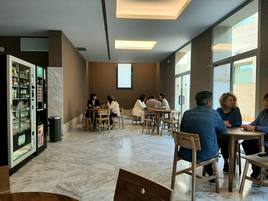 La nueva cafetería del Museo de Bellas Artes de Valencia.