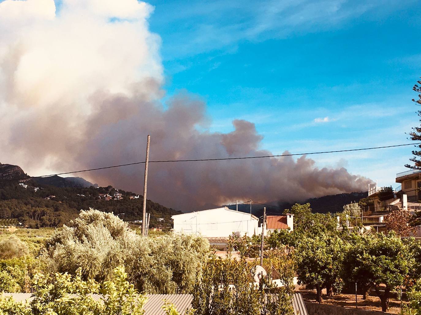 Incendio forestal en La Casella de Alzira