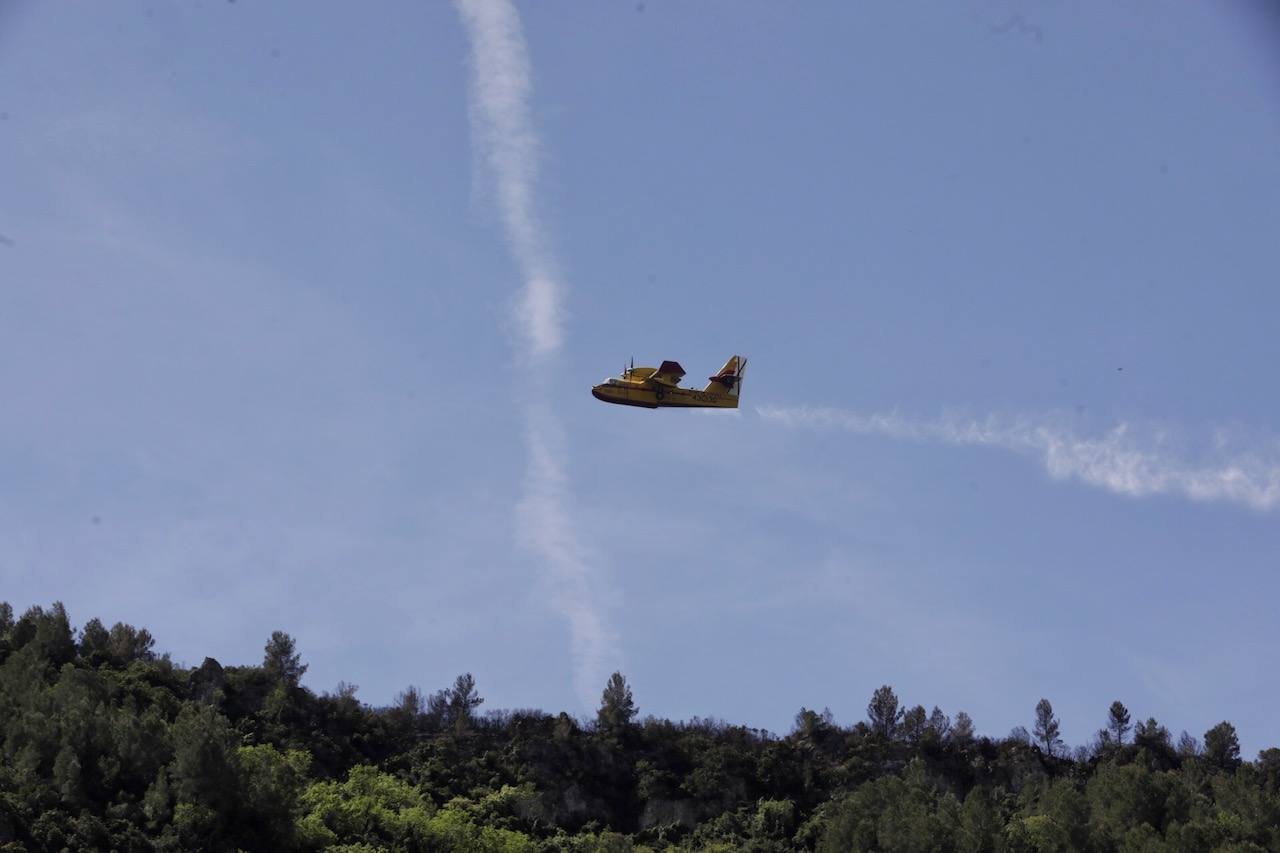 Incendio forestal en La Casella de Alzira