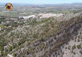 Vista aérea de la zona afectada por el incendio en Genovés.