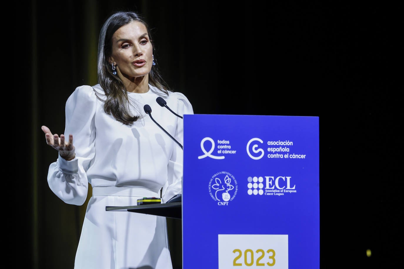 La reina Letizia durante su interverción.