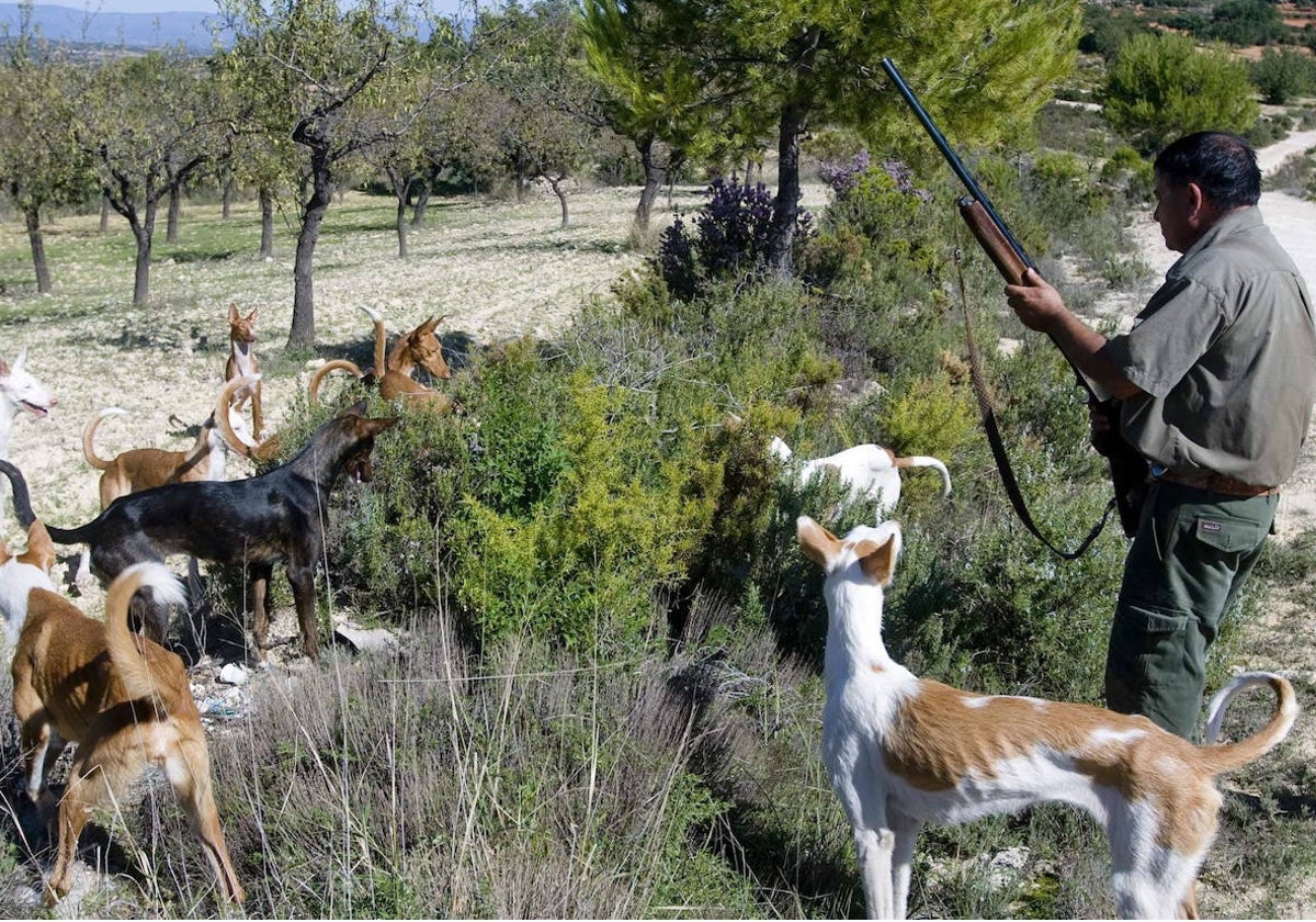 Un cazador con sus perros.