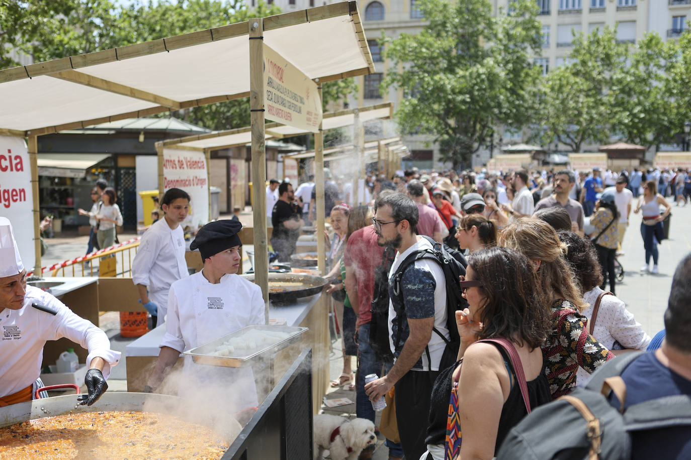 Valencia saborea su gran evento de las paellas