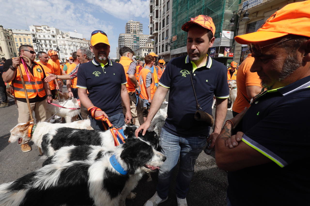 Así ha sido la manifestación en defensa de la caza celebrada en Valencia