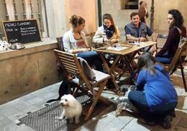 Una terraza de un local con opción de snack y bebida para perros.