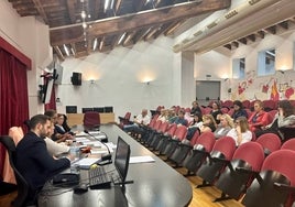 Comisiones y falleros que han presentado propuestas para mejorar el sistema de elección de fallera mayor de Valencia.