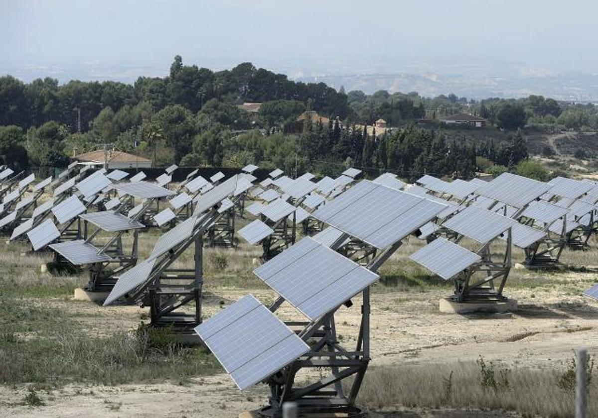 Placas solares en un huerto.