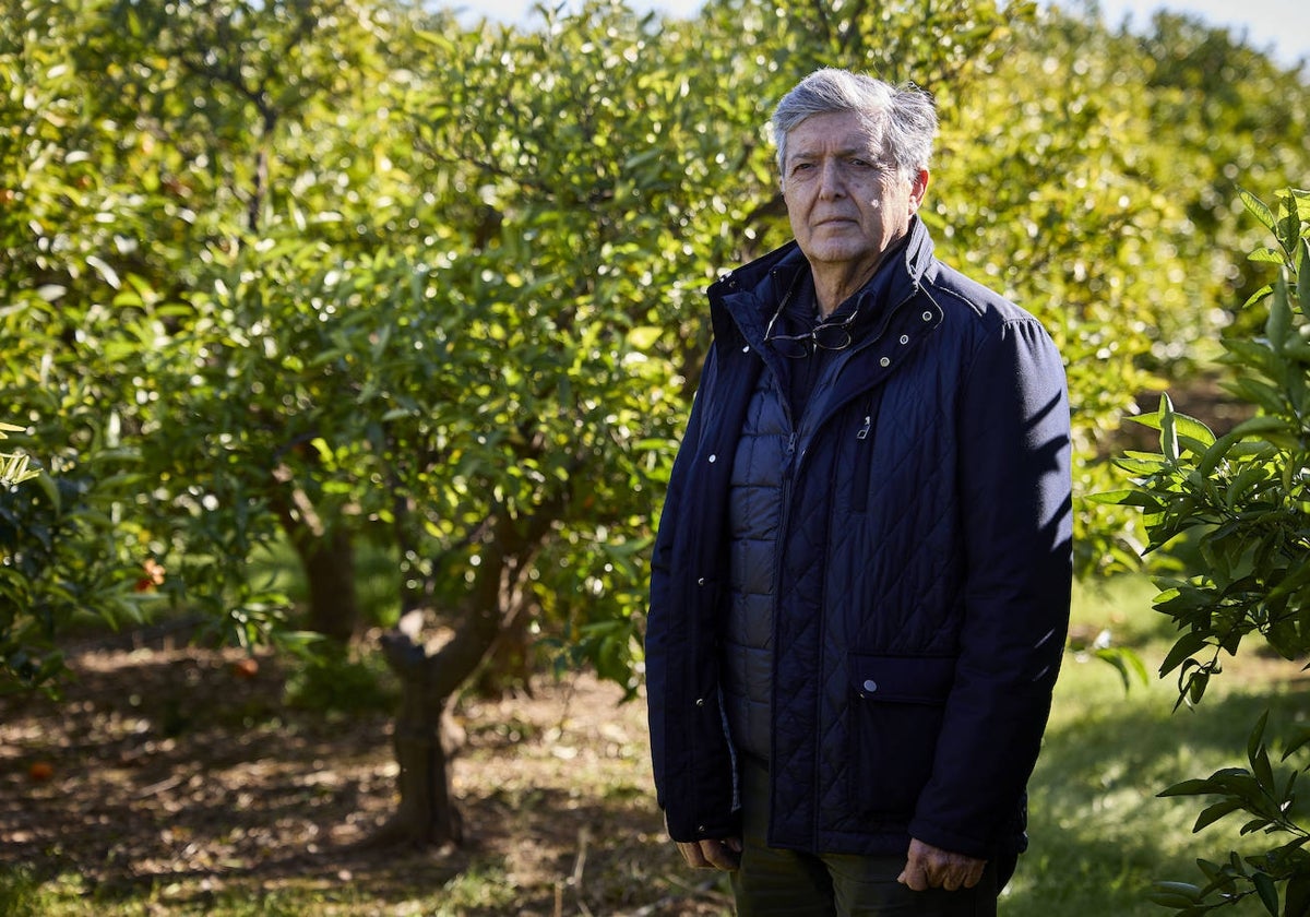 Francisco Campillo en un campo de Sagunto.