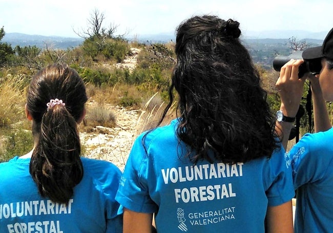 Jóvenes voluntarios ambientales.