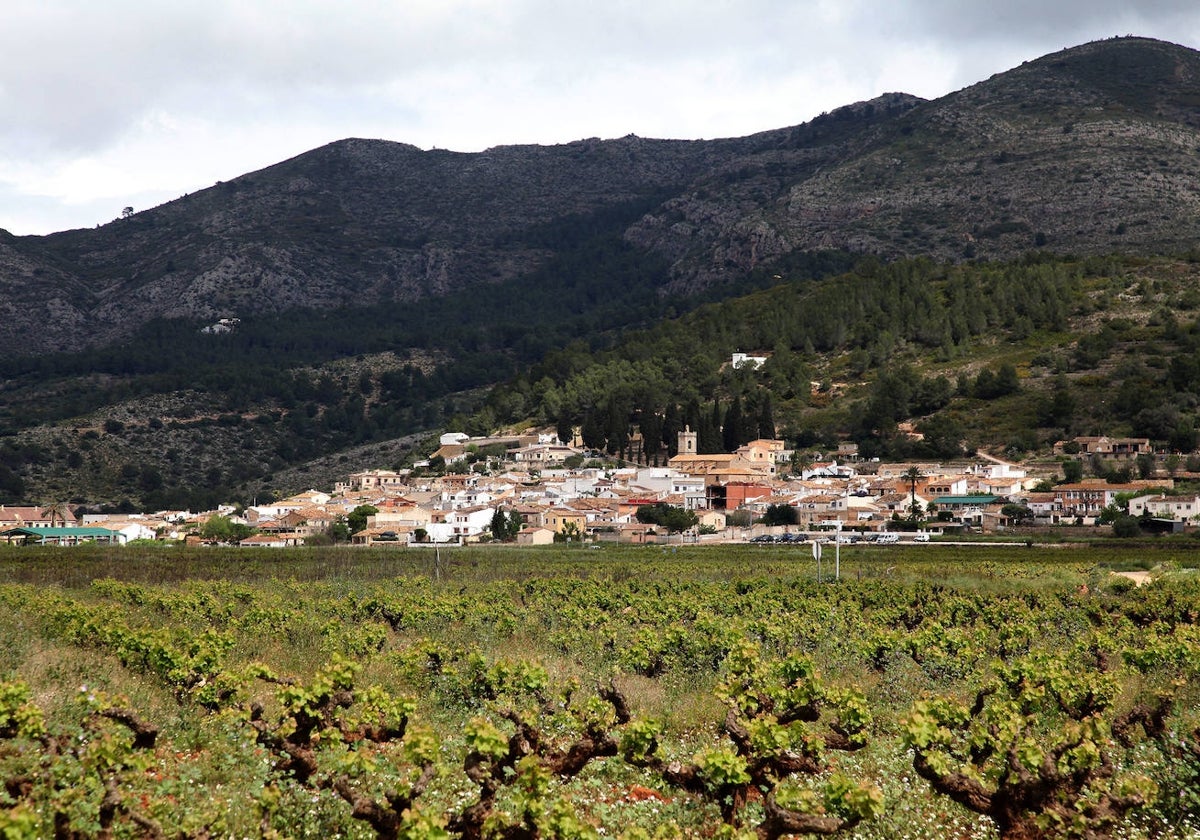 Panorámica de Llíber con campos de vides en primer plano.