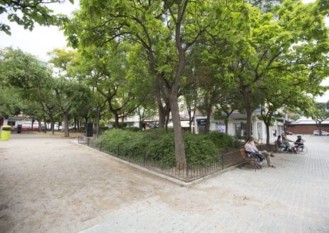 Imagen secundaria 1 - Árboles sin podar en la calle Escultor Salzillo; parque de Doctor Berenguer Ferrer, con la tierra en las aceras y escaso paso para peatones en la calle Pare Esteban Pernet.