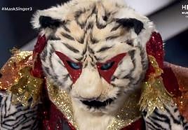 Tigre se quita la máscara este miércoles en 'Mask Singer'.
