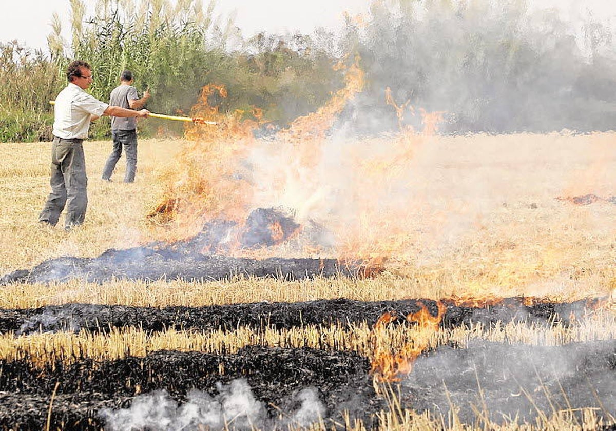 Unos agricultores queman los residuos.