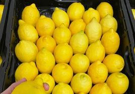 Limones expuestos en un lineal.