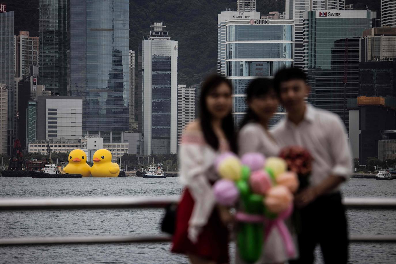 Los gigantes patos hinchables de Hofman llegan a Hong Kong